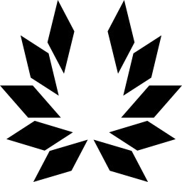 Logo Merit First, Inc.