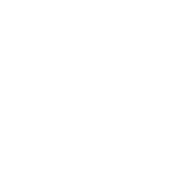 Logo Standard Strategies, Inc.