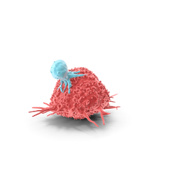 Logo CTI Molecular Imaging, Inc.