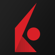 Logo IBKR Securities Services LLC