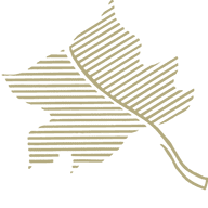 Logo HHC Poplar Springs LLC