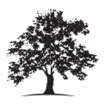 Logo White Oak Global Advisors LLC