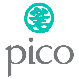 Logo Pico Far East Holdings Ltd.