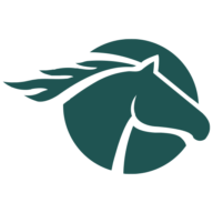 Logo Equus Mining Ltd.