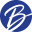 Logo Boscov's Department Store LLC