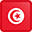 Logo Government of Tunisia