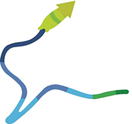 Logo Chrysalis BioTherapeutics, Inc.