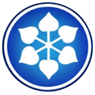Logo DCM Shriram Industries Ltd.