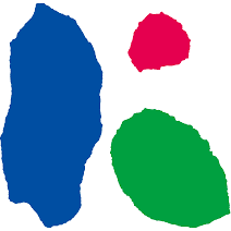 Logo The Bank of Kochi, Ltd.