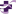 Logo Trinity Mother Frances Health System