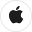 Logo Intrinsity, Inc.