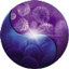 Logo Therakos, Inc.