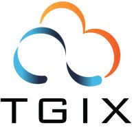 Logo Thaumaturgix, Inc.