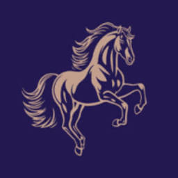 Logo Fillmore Capital Partners LLC