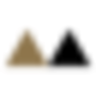 Logo Field LLP
