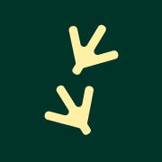 Logo Norsk Kylling AS