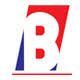 Logo Barak Valley Cements Ltd.