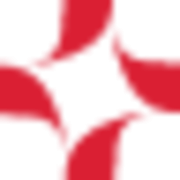 Logo Snow Flake Holdings