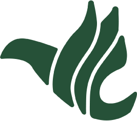 Logo Liberty Surplus Insurance Corp.