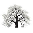 Logo Edgewood Private Equity Group