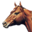 Logo American Quarter Horse Association