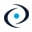 Logo Global Association of Risk Professionals