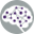 Logo American Epilepsy Society