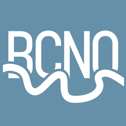 Logo Business Council of New Orleans & the River Region