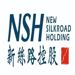 Logo New Silkroad Culturaltainment Ltd.
