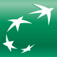 Logo BNP Paribas Capital (Malaysia) Sdn. Bhd.