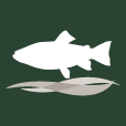 Logo Hollow Brook Wealth Management LLC