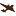 Logo Operation California, Inc.