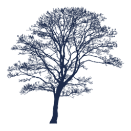 Logo Thompson Davis & Co., Inc. (Investment Management)
