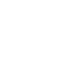 Logo San Francisco Film Society