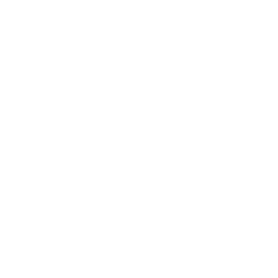 Logo Commercial Spaceflight Federation