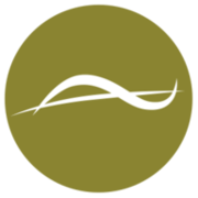 Logo NewBridge Pharmaceuticals FZ LLC