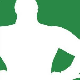 Logo The Hero Initiative
