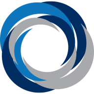 Logo Vision Government Solutions, Inc.