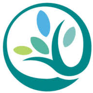 Logo Area Agency on Aging 1-B