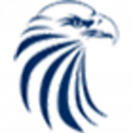 Logo Eagle Manufacturing Group