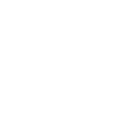 Logo Technology Security Associates, Inc.