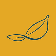Logo New Seasons Investment Holdings (Pty) Ltd.