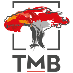 Logo Trust Merchant Bank SA