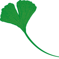 Logo Clinique Ambroise Paré SA