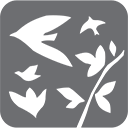 Logo Shinan Leisure Co. Ltd.