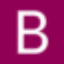 Logo Bouwinvest Real Estate Investors BV