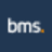Logo BMS Group Ltd.