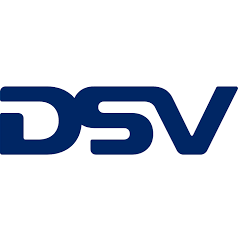 Logo DSV Solutions Ltd.