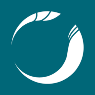 Logo BMH Technology Oy