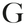 Logo Delltrade Ltd.
